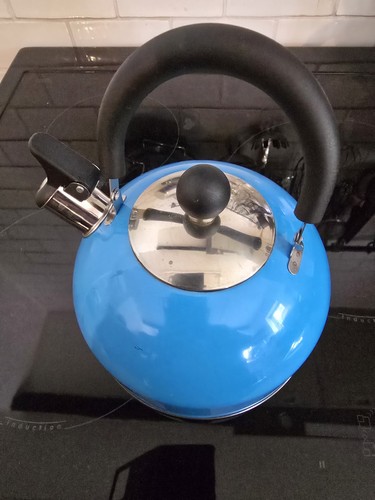 Blue stainless steel whistling - blue,