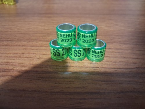 Racing - 5x(nehu, ss