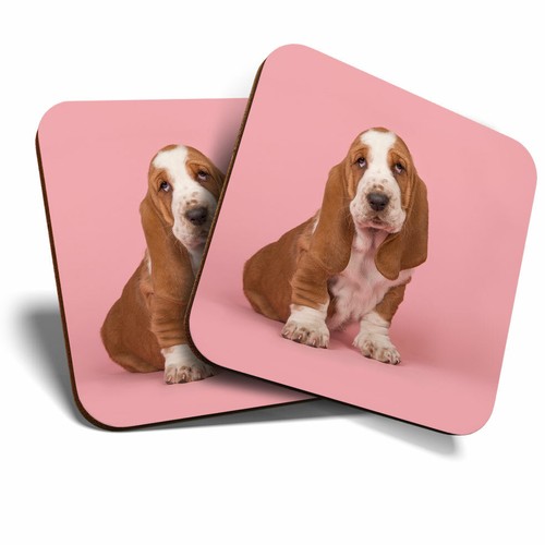 Coasters pink basset - pink,