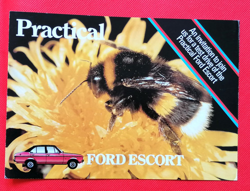 1980 ford escort sales - escort,