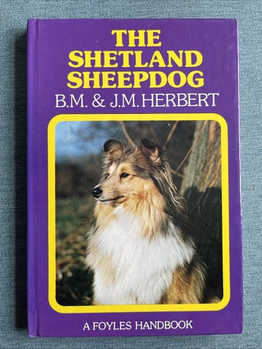 The shetland sheepdog m - -, b