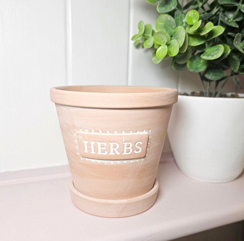 Terracotta herbs plant pot - terracotta,
