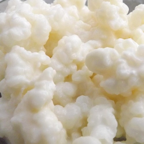 10g organic live - live, milk