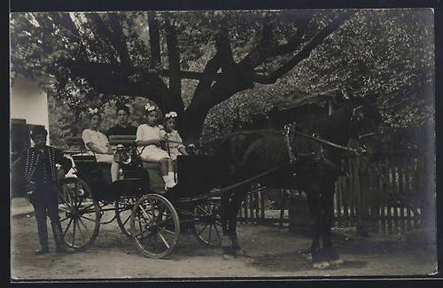 Two girls driving horse - a,