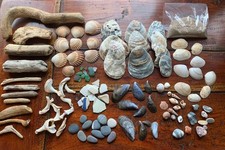 Beach Finds Craft Pack - over 100 Pieces - Shells - Driftwood - sea-glass