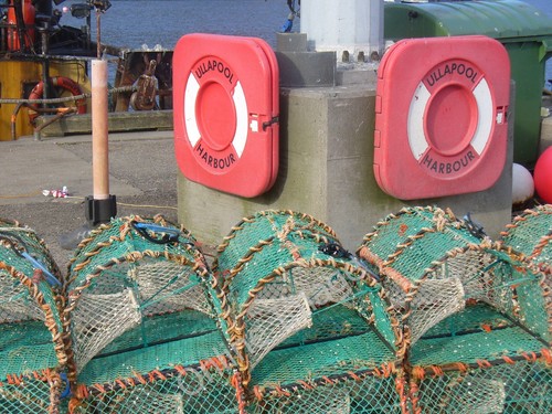 Photo 12x8 ullapool harbour - photo,