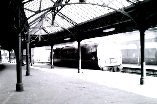 Class 52 western - 4,