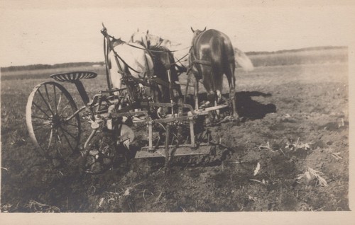 Horse drawn farm cultivator - horse-drawn,