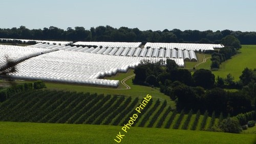 Photo 6x4 polytunnels - photo, polytunnels,