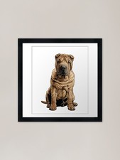 Brown Shar pei Dog