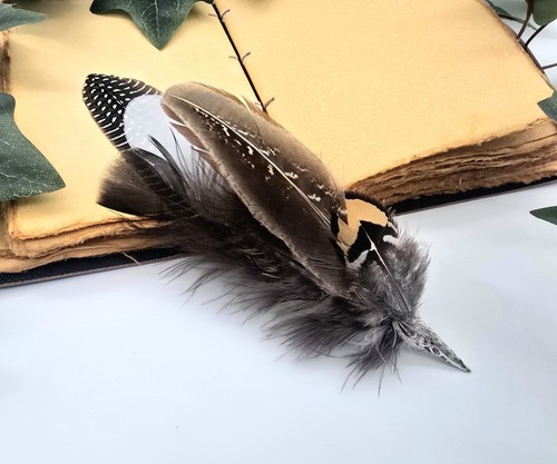 Smudging feather wand - smudging,