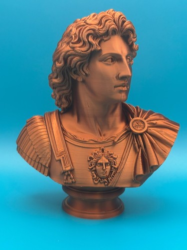 Bust alexander the great - 3d,