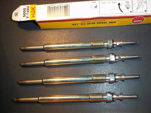 Glow plugs for - plugs,