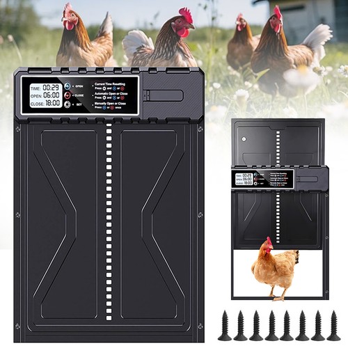 Automatic chicken coop door - chicken,