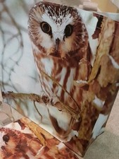 Owl Reusable Shopping Travel Tote Gift Bag Winter Cute Wildlife Christmas Animal