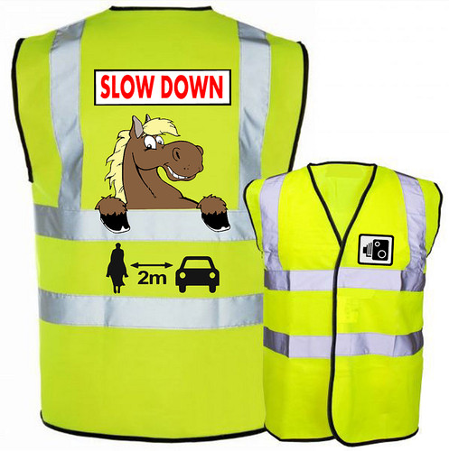 Fun horse riding vis - riding,