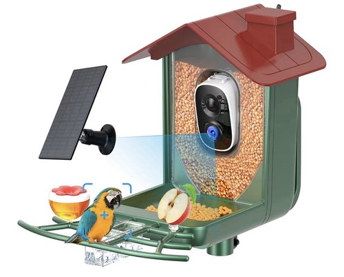 Smart bird feeder with camera - smart,