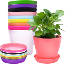 10 Pieces Colorful Plastic