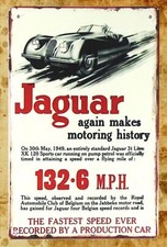 outdoor art work Jaguar again
