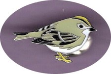 RSPB PIN BADGES - Want the