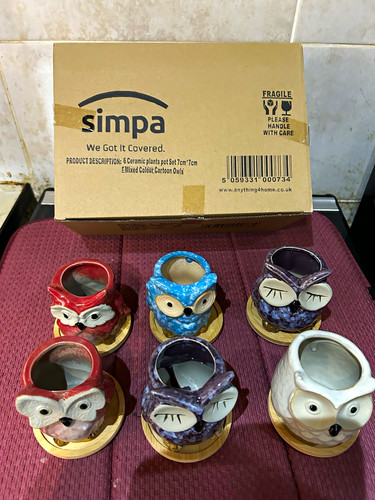 Simpa ceramic glazed owl - simpa,