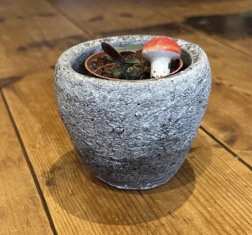 Plant pot holder grey - pot, holder,
