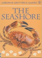 The seashore usborne - the, (usborne