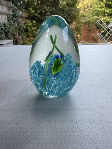 Egg shaped art - egg, aquarium
