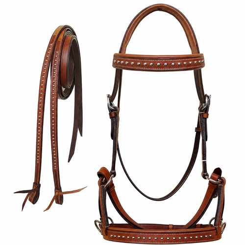 Horse western cob - horse,