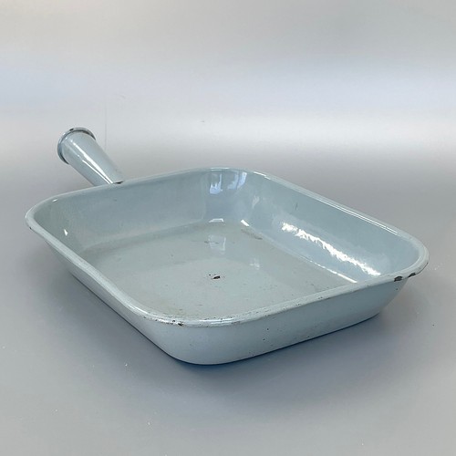 Vintage duck egg - duck,