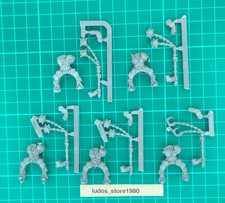 Marauder Horsemen Bodies