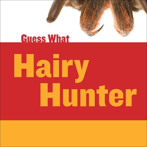 Hairy hunter tarantula guess - tarantula, (guess