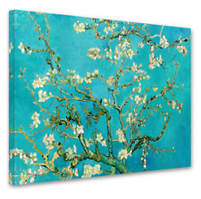 VINCENT VAN GOGH ALMOND