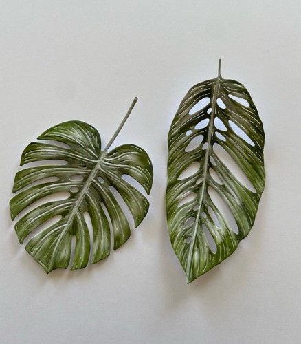 Tattered lace monstera leaf - tattered,