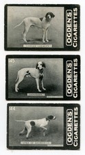 POINTER English Gun Dog Vintage Cigarette Cards C. 1902 Ogden's Tab x 3 Named