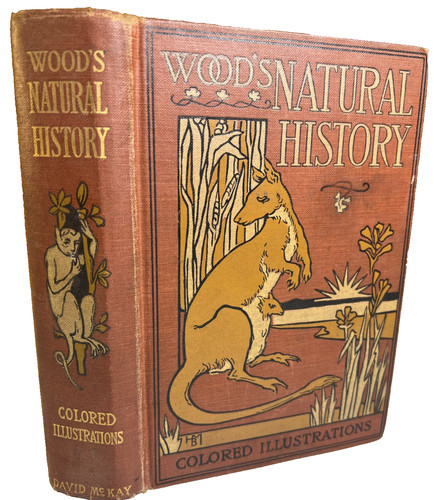Antique victorian book - antique,