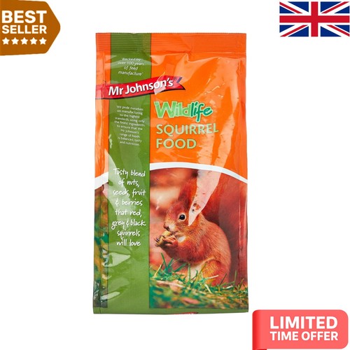 Balanced wildlife squirrel - balanced,
