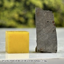 Genuine muonionalusta meteorite slice with widmanstatten pattern - certified