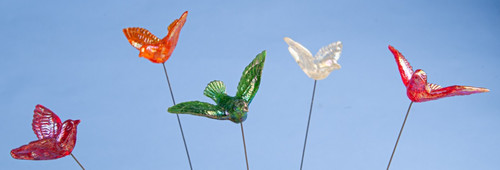 Model birds flight - in, of
