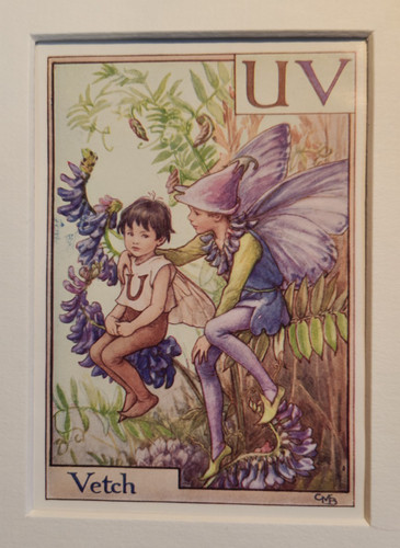 Vintage flower fairies - print, &