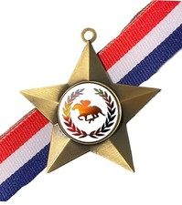Horse Racing Award