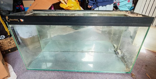 Glass fish tank - fish,