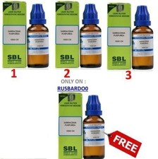 SBL Sarracenia Purpurea 1M