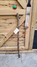 Twisted Twisty Wood Birch