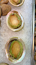 FRESH FROZEN ABALONE PREMIUM -