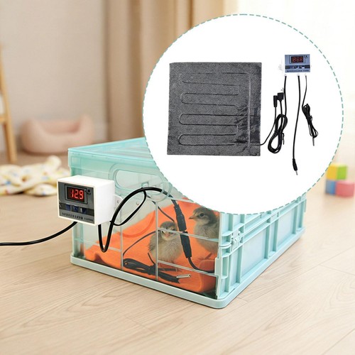 Bird brooder box parrot - brooder,