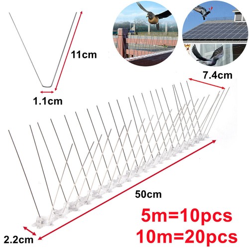 10m pigeon bird - 5m,