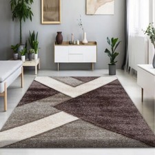 Modern Large Shaggy Rugs Long