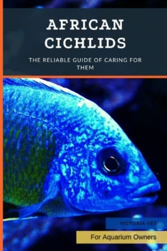 African cichlids the reliable - the,