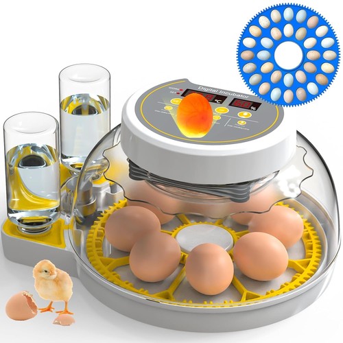 Egg incubator for - 8/32,